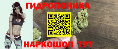 МДПВ Обнинск