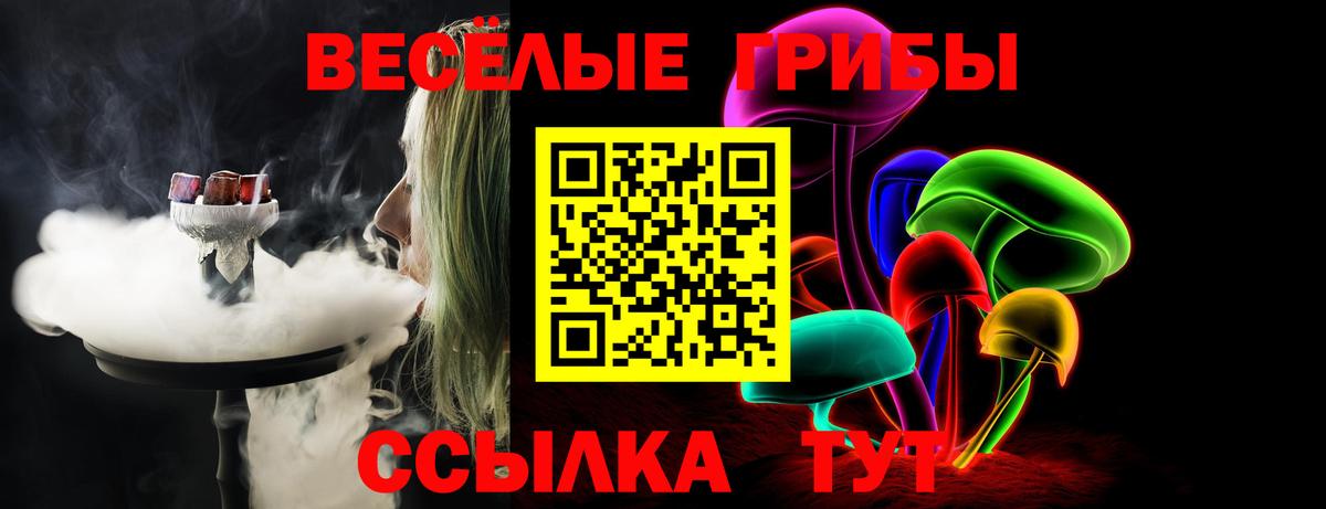 Псилоцибиновые грибы прущие грибы Чебоксары